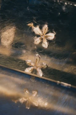 Earrings|Jewelry><noscript><img width=