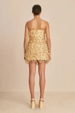 Dresses><noscript><img width=